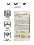 Семена цветов Пеларгония "Дансер Дип Роуз", зональная, Сем. Алт, ц/п, 3 шт - Фото 3
