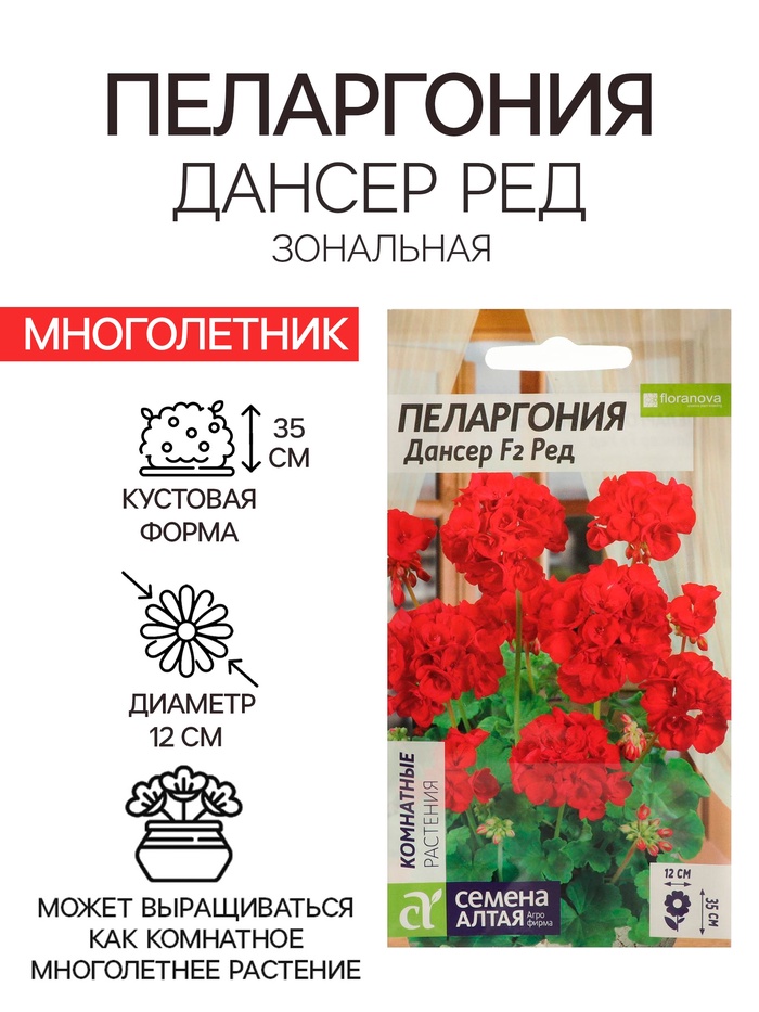 Семена цветов Пеларгония «Дансер Ред», зональная, 3 шт., «Семена Алтая» - Фото 1