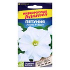Семена цветов Петуния «Лимбо Вайт», F1, 7 шт., «Семена Алтая» - Фото 3