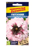 Семена цветов Петуния «Превосходнейшая Альба», низкорослые гиганты, 7 шт., «Семена Алтая» - Фото 1