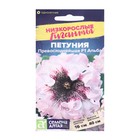 Семена цветов Петуния «Превосходнейшая Альба», низкорослые гиганты, 7 шт., «Семена Алтая» - Фото 3