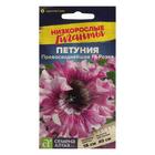 Семена цветов Петуния "Превосходнейшая Розеа", Низкорослые гиганты, Сем. Алт, ц/п, 7 шт - Фото 1