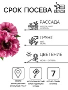 Семена цветов Петуния «Превосходнейшая Розеа» F1, 7 шт. - Фото 2