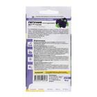 Семена цветов Петуния Синяя, махровая Дуо, F1, Сем. Алт, ц/п, 10 шт - Фото 4