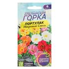 Семена цветов Портулак, махровый, смесь, 0.1 г, «Семена Алтая» - Фото 1