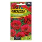 Семена цветов Портулак "Супермахровый", вишневый, Сем. Алт, ц/п, 0,1 г - Фото 3