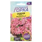 Семена цветов Седум "Малиновый", ц/п, 0,01 г - Фото 1