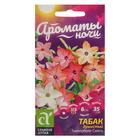 Семена цветов Табак "Тинкербелл", душистый, Сем. Алт, ц/п, 0,1 г - Фото 1