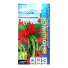 Семена цветов Фасоль вьющаяся "Огненно-красная", Сем. Алт, ц/п, 5 г - фото 24351052