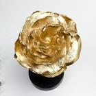 Сувенир полистоун "Девушка в шляпке в форме розы" чёрный с золотом 30х18х16 см - фото 21835553