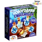 Набор для опытов «Новогодняя гирлянда», звёздочки и шарики - Фото 5