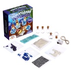 Набор для опытов «Новогодняя гирлянда», звёздочки и шарики - Фото 6