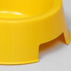 Миска пластиковая двойная 29,5 х 16,5 х 5 см, жёлтый перламутр - Фото 3