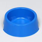 Миска пластиковая 17 х 17 х 5 см, 400 мл, синяя - Фото 1