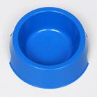 Миска пластиковая 17 х 17 х 5 см, 400 мл, синяя - Фото 2