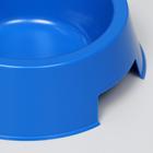 Миска пластиковая 17 х 17 х 5 см, 400 мл, синяя - Фото 3