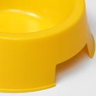 Миска пластиковая 17 х 17 х 5 см, 400 мл, желтая - Фото 3