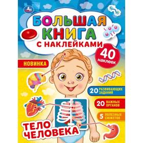 Большая книга с наклейками «Тело человека» 7370478