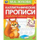 Каллиграфические прописи «Развиваем навыки письма 2-3 года», М.А. Жукова 7370516 - фото 9385779