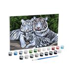 Картина по номерам на холсте с подрамником «Белые тигры» 20х30 см - Фото 2