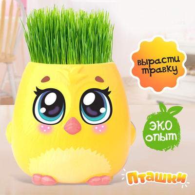 УЦЕНКА Набор для опытов «Пташки, выращиваем травку», жёлтый горшочек (потёртости краски)