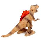 УЦЕНКА Динозавр «Рекс», эффект дыма, свет и звук, работает от батареек - Фото 3