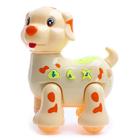 Музыкальная игрушка «Далматинец», световые и звуковые эффекты, цвета МИКС - фото 24616345