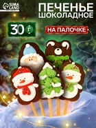 Печенье шоколадное новогоднее на палочке «Зимнее», МИКС, 30 г - Фото 1