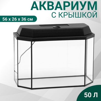 Аквариум «Панорамный» с крышкой, 50 л, 56×26×36 см, чёрный
