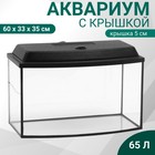 Аквариум «Телевизор» с крышкой, 65 л, 60×33×35/40 см, чёрный - Фото 1