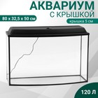 Аквариум «Телевизор» с крышкой, 120 литров, 80×32.5×50/55 см, чёрный - Фото 1