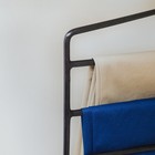 Плечики - вешалки для одежды многоуровневые Доляна, антискользящее покрытие, цвет МИКС - Фото 5