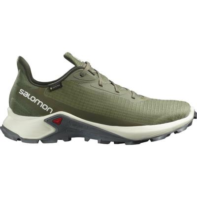 Salomon ALPHACROSS 3 GTX 42 5 L41359500 7409596 9 591.00 SIMA LAND.RU