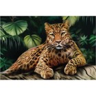 Алмазная мозаика с полным заполнением «Леопард» 50x60 см, на подрамнике - фото 9388199