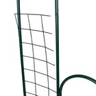 Шпалера, 200 × 50 × 1 см, металл, зелёная, «3 кольца» - Фото 2