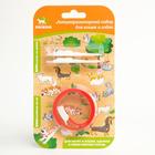 Набор от паразитов «Пижон»,ошейник 35 см + биокапли 2×1 мл, для кошек и собак - Фото 1