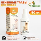 Лечебные травы «Пижон», глистогон, для собак, 50 мл - Фото 1