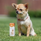 Лечебные травы «Пижон», глистогон, для собак, 50 мл - Фото 5