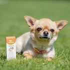 Лечебные травы успокаивающие для собак «Пижон», 50 мл - Фото 4