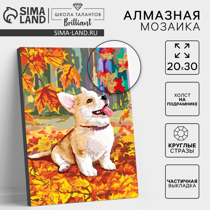 Алмазная мозаика на подрамнике с частичным заполнением «Корги», 20×30 см - Фото 1