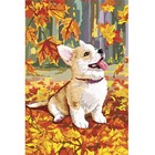 Алмазная мозаика на подрамнике с частичным заполнением «Корги», 20×30 см - Фото 2