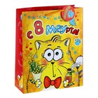 Пакет ламинированный вертикальный «Котэ кавалер», 26 × 32 см - Фото 1