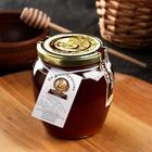 Цветочный мёд «Амфора», 650 г - фото 9389414