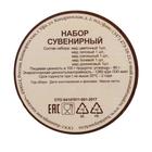 Медовый набор: липовый, цветочный, гречишный, донниковый, полевой, 200 г - фото 25404480