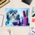 Календарь квартальный, трио "Собака модница" тиснение фольгой, 31х69 см, 2022 год - Фото 3