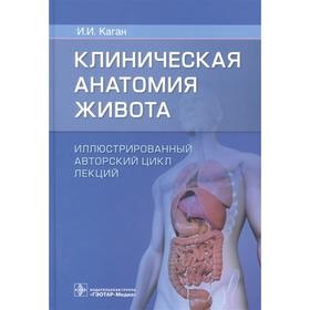 Клиническая анатомия живота. Иллюстрированный авторский цикл лекций. Каган И.