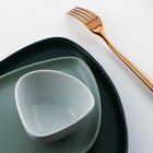 Блюдо для подачи нестандартной формы «Зелёная», 20 х 15 см 6478837 - фото 319788868