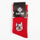 Носки мужские KAFTAN "Пёс" р. 41-44 (27-29 см) - фото 25373258