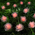 УЦЕНКА Гирлянда «Нить», 4.5 м, уличная, с насадками «Роза», IP44, 30 LED, 2 режима, солнечная батарея, тёмная нить, свечение красное - Фото 2