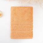 Полотенце махровое с греческим бордюром 70х140 см, GOLD EARTH, хлопок 100%, 430г/м2 - фото 21361924